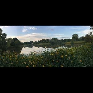 Meet your Posher, Priya